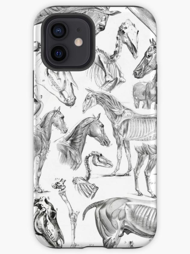 Iphone 12 | Horse Anatomy (Black On White) Iphone Case Iphone 12 Iphone 12