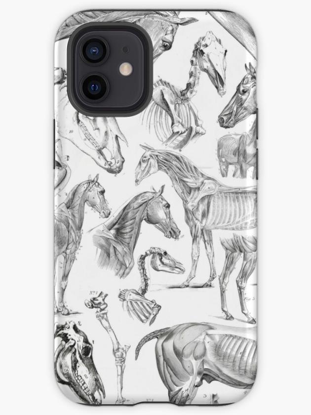 Iphone 12 Mini | Horse Anatomy (Black On White) Iphone Case Iphone 12 Mini Iphone 12 Mini