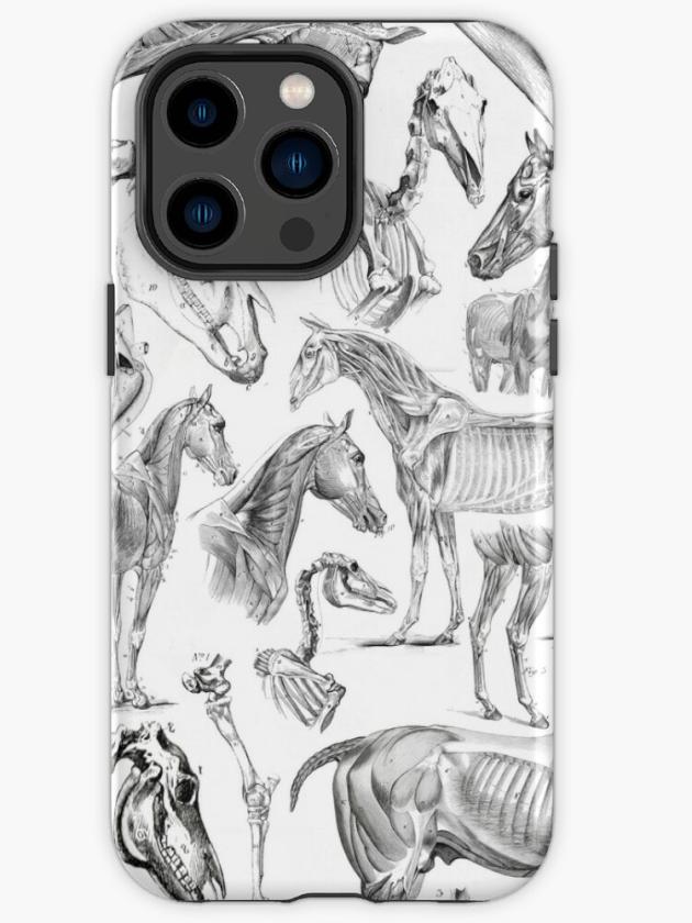 Iphone 14 Pro Max | Horse Anatomy (Black On White) Iphone Case Iphone 14 Pro Max Iphone 14 Pro Max