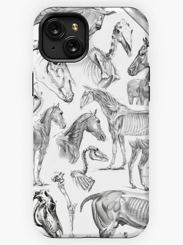 Iphone 15 Plus | Horse Anatomy (Black On White) Iphone Case Iphone 15 Plus Iphone 15 Plus