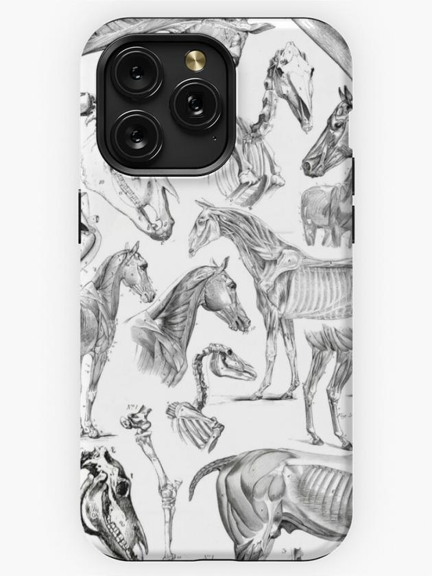 Iphone 15 Pro Max | Horse Anatomy (Black On White) Iphone Case Iphone 15 Pro Max Iphone 15 Pro Max