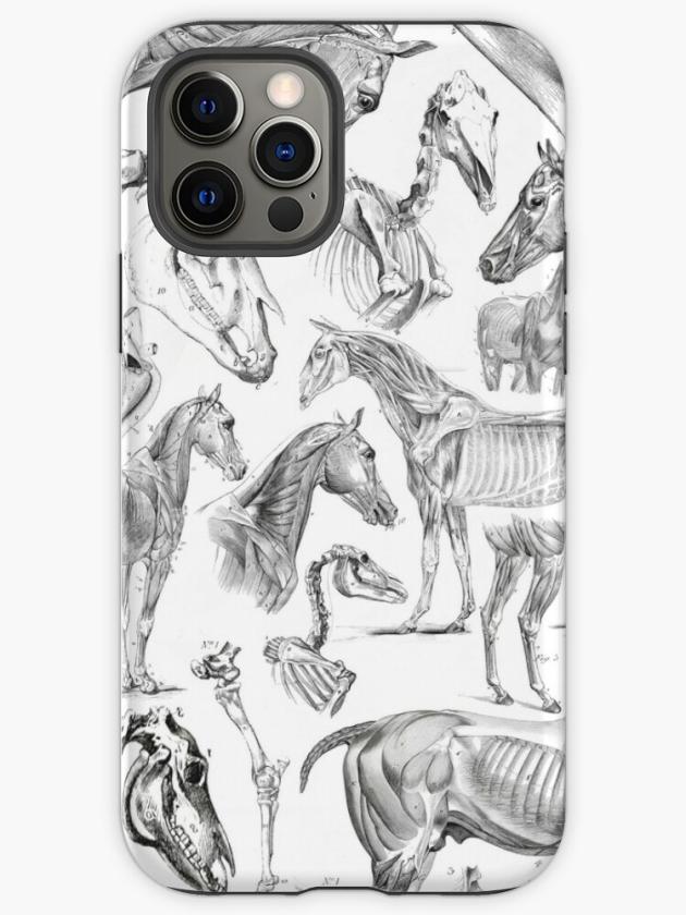 Iphone 12 Pro | Horse Anatomy (Black On White) Iphone Case Iphone 12 Pro Iphone 12 Pro