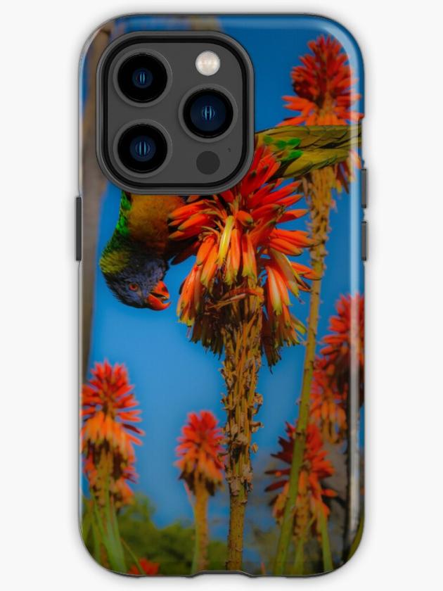 Iphone 14 Pro | Rainbow Lorikeet On Fiery Blooms Iphone Case Iphone 14 Pro Iphone 14 Pro